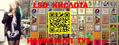 прущие грибы Кимры